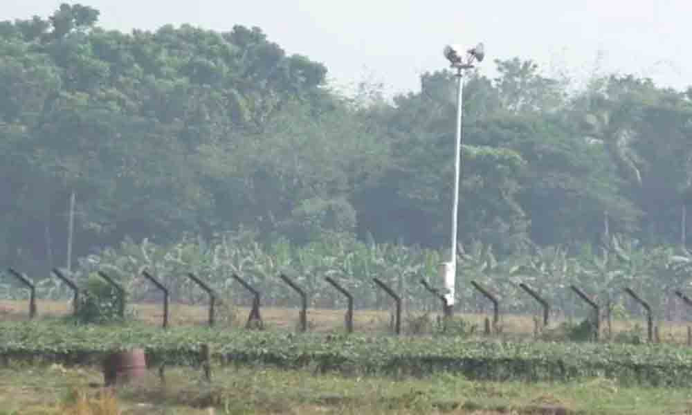 মহেশপুর সীমান্তে বিএসএফের গুলিতে ২ বাংলাদেশি নিহত